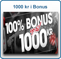 1.000kr i bonus